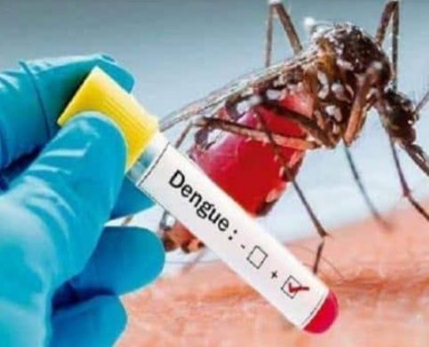 इस जिले में डेंगू ने मचाया कहर, अब तक 12 मरीज मिल चुके