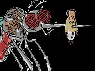 dengue