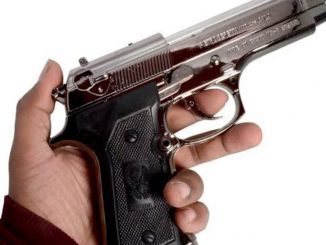 gun