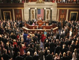 american parliament