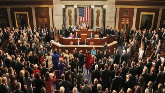 american parliament