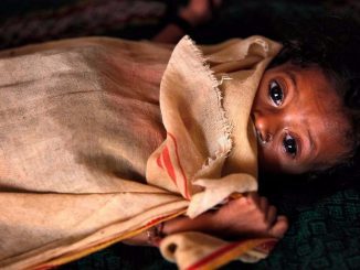 children uttrakhand