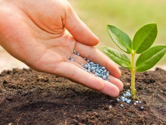 fertilizer