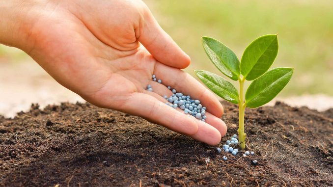 fertilizer