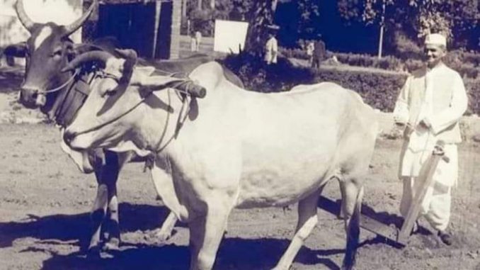 shastri ji