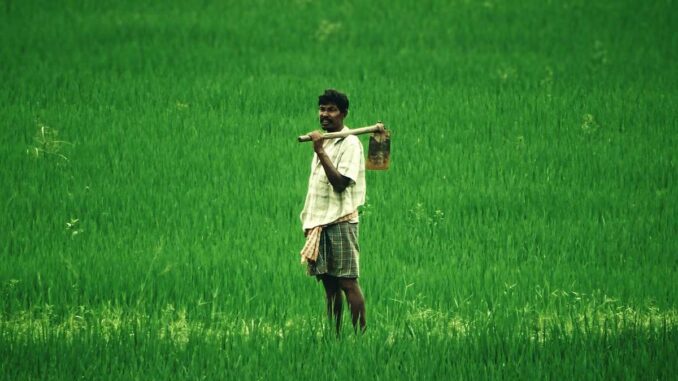 bareilly faremers