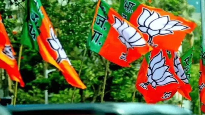 bjp flag