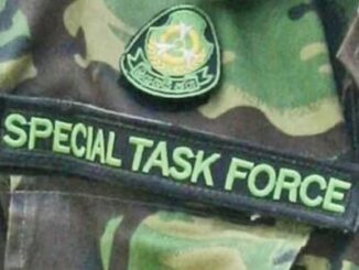 stf