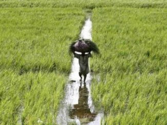 agriculture budget