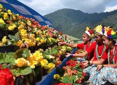 festival Phooldei