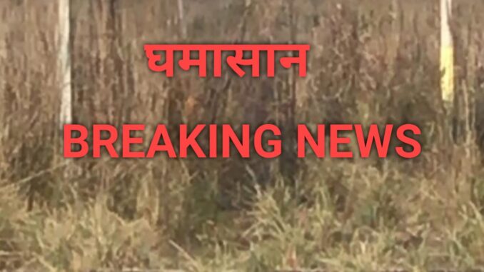 ghamasaana news portal