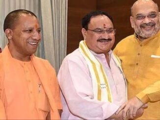 yogi cabinet