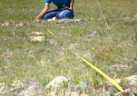 measurement of land in UP