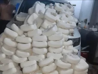 Paneer samples failed