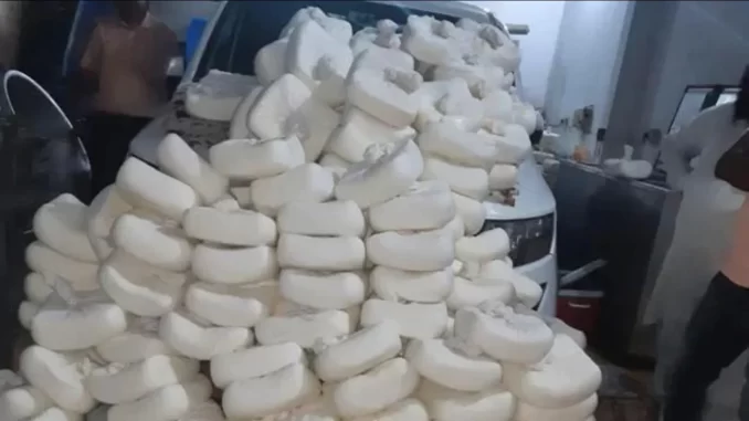Paneer samples failed