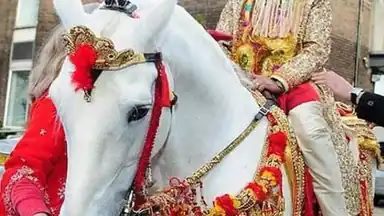 baraat