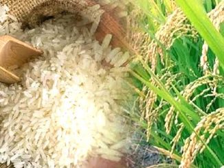 kanpur special rice