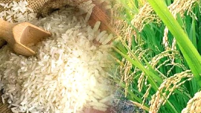 kanpur special rice