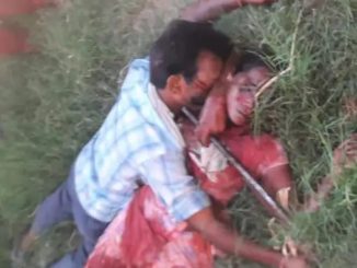 meerut crime news
