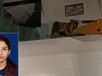 ankita murder case