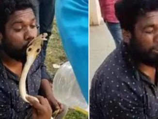 snake kiss