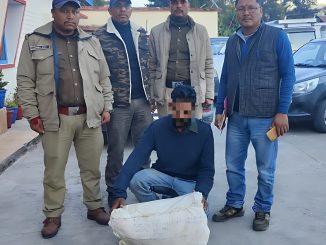 Smuggler arrested with Guldar skin