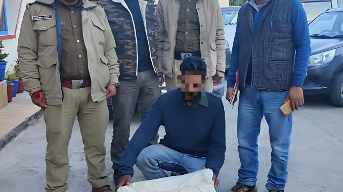 Smuggler arrested with Guldar skin