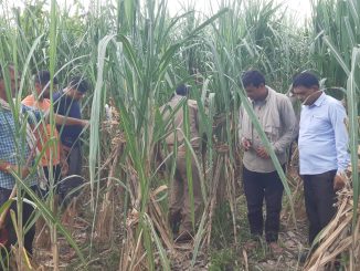 bagpat news