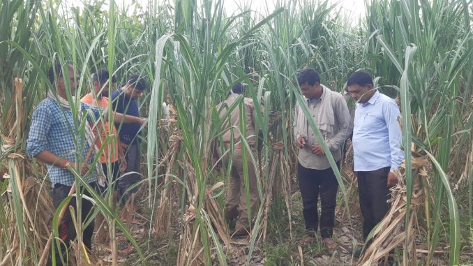 bagpat news