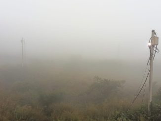 Heavy fog in western Uttar Pradesh