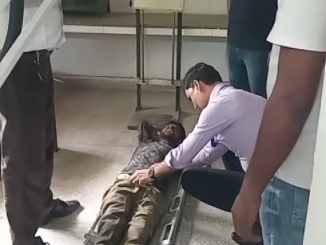 bijnor