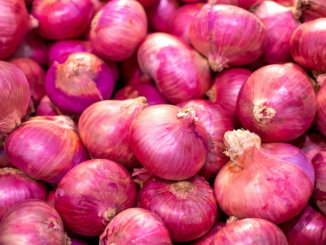 onion price