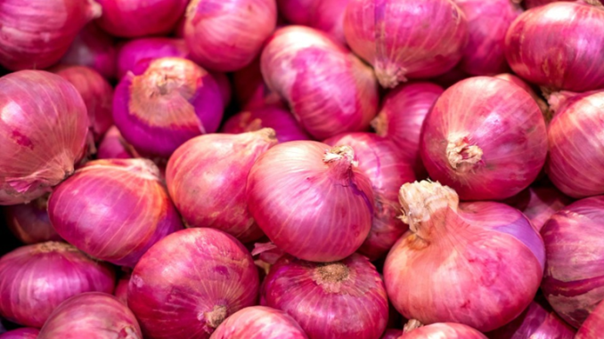 onion price