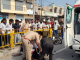 saharanpur accident news